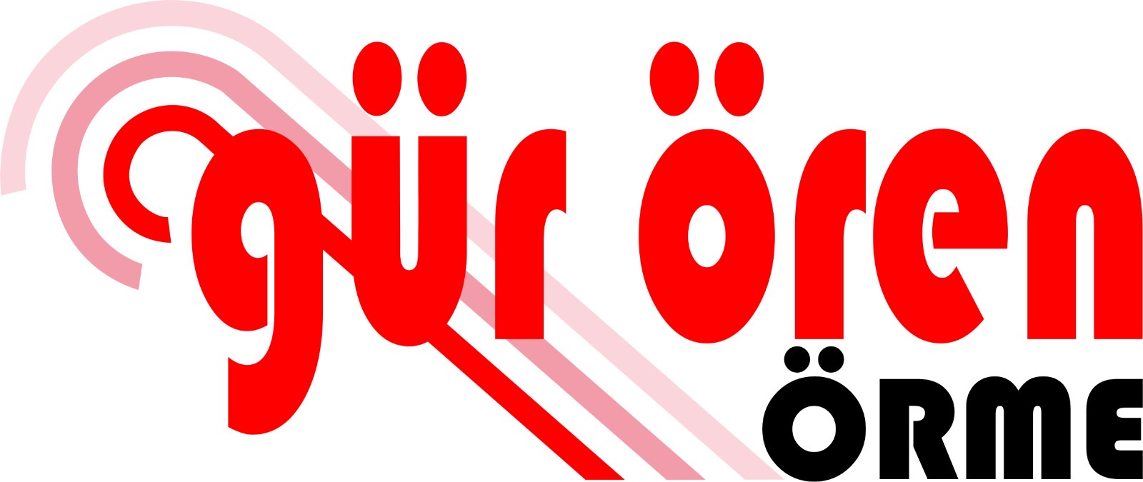 Firma Logosu